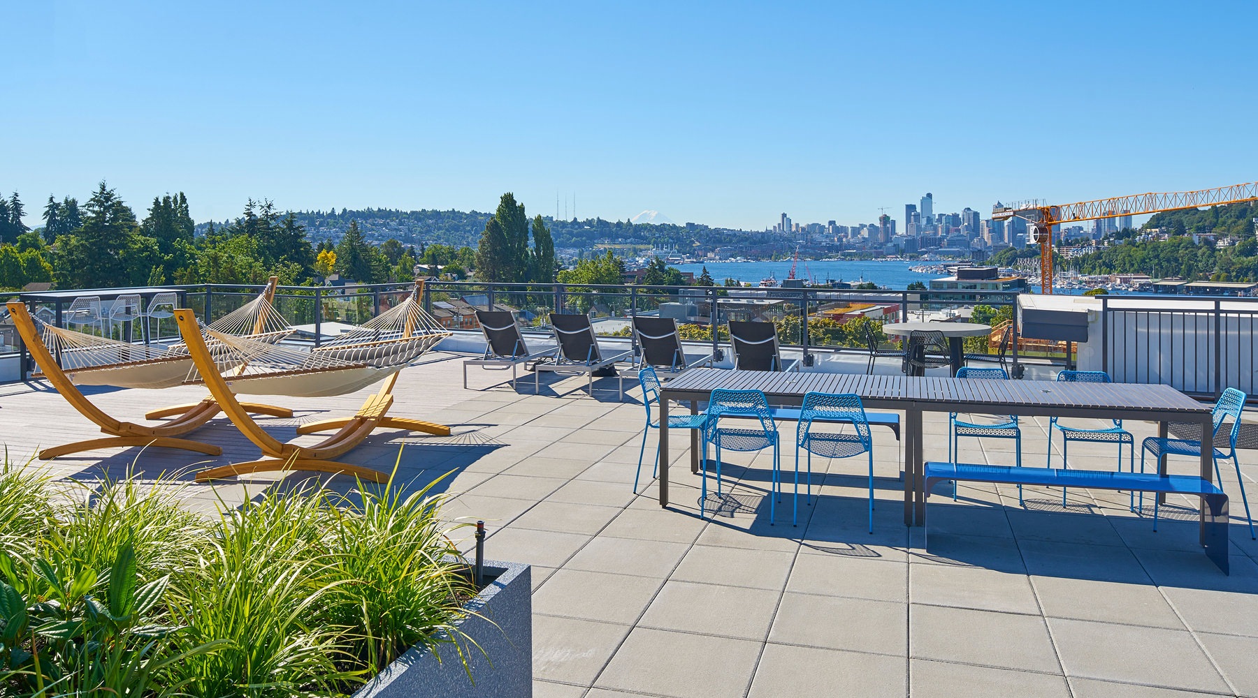 a hammock near the water